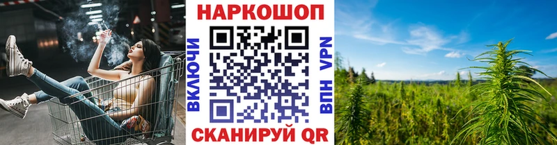 Где купить наркоту Георгиевск ГАШ  Бошки Шишки  Меф 