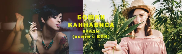 тгк Каменск-Шахтинский