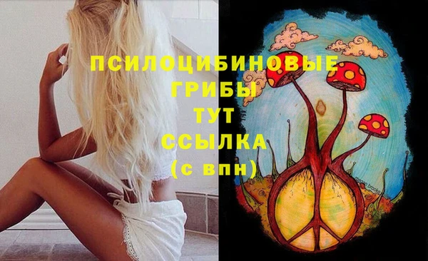 ALPHA-PVP Каменногорск
