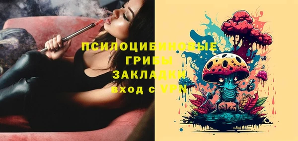 тгк Каменск-Шахтинский