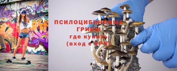 тгк Каменск-Шахтинский