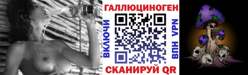 Галлюциногенные грибы Psilocybe где продают наркотики Георгиевск