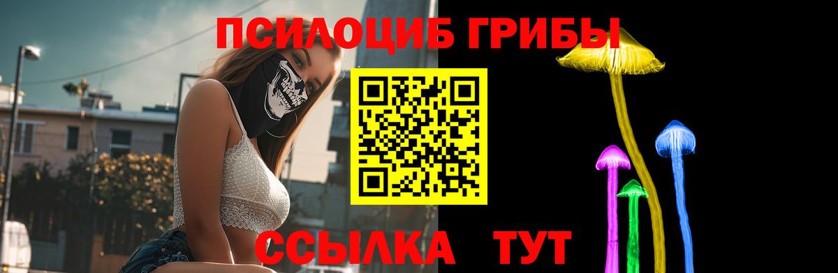 Георгиевск  Псилоцибиновые грибы прущие грибы  Вход с VPN 